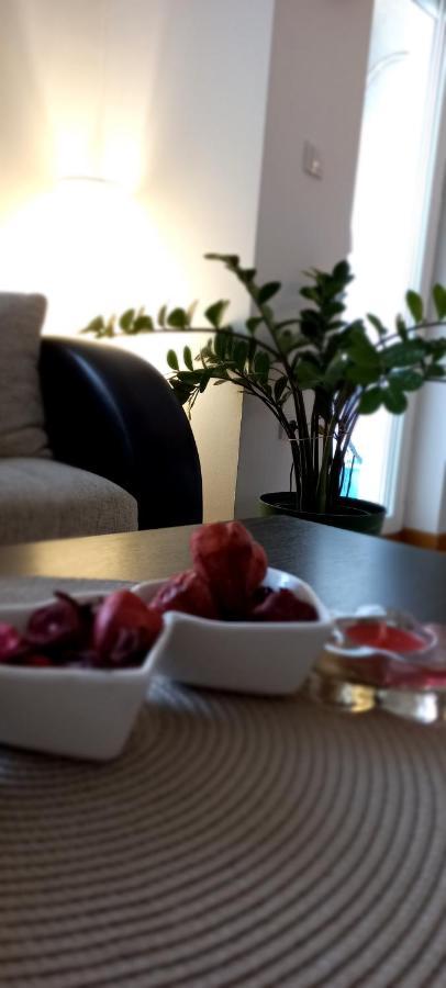 Beautifull Apartment Ni Εξωτερικό φωτογραφία